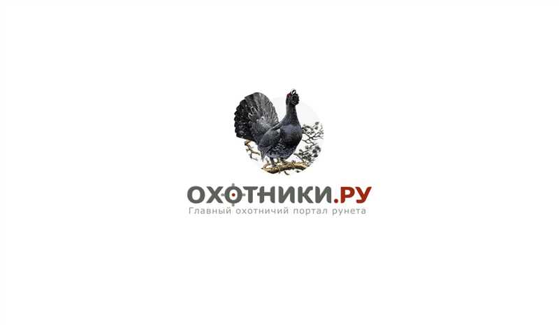 Почему важно выбирать хорошую обувь для долгих походов