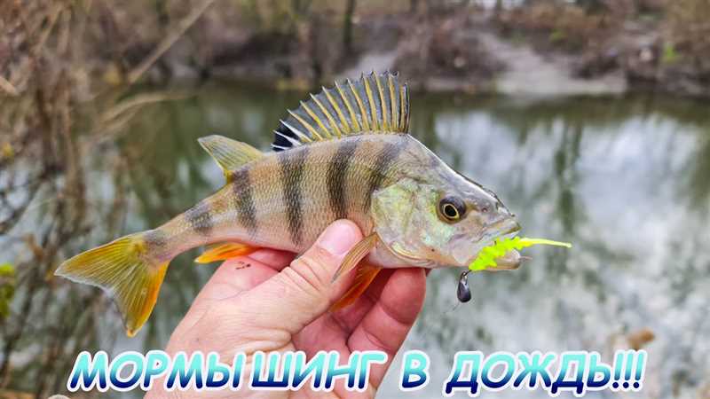 Искусственные приманки