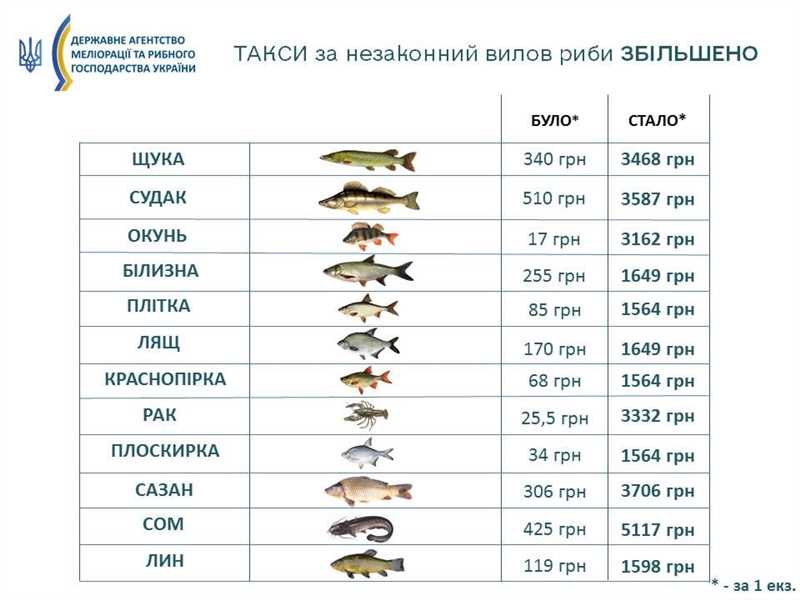 Причины увеличения штрафов