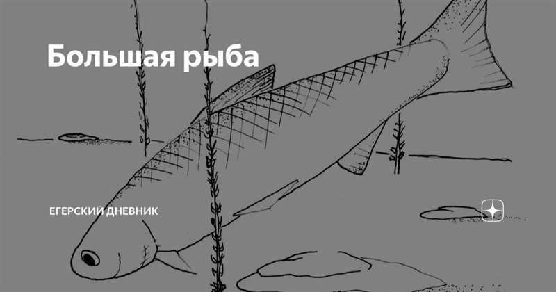 Сазан