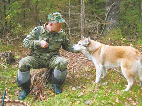 Анонсы и ожидания